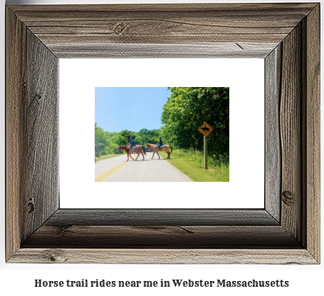 horse trail rides near me in Webster, Massachusetts